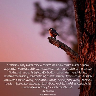 Picture 03 - ಎಸ್ತೇರಳು 4:11 KANIRV - “ಅರಸನು ತನ್ನ ಬಳಿಗೆ - Bible Verse Picture