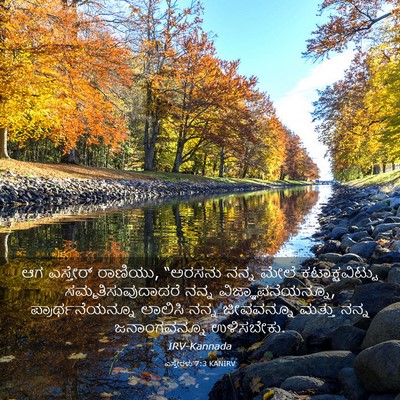Picture 03 - ಎಸ್ತೇರಳು 7:3 KANIRV - ಆಗ ಎಸ್ತೇರ್ ರಾಣಿಯು, - Bible Verse Picture