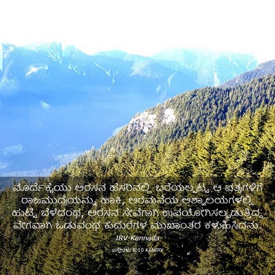 Picture 03 - ಎಸ್ತೇರಳು 8:10 KANIRV - ಮೊರ್ದೆಕೈಯು ಅರಸನ - Bible Verse Picture