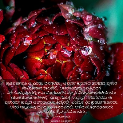 Picture 03 - ಎಸ್ತೇರಳು 9:28 KANIRV - ಪ್ರತಿವರ್ಷವೂ ಆ - Bible Verse Picture