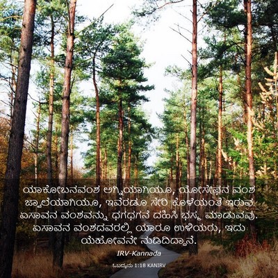 Picture 03 - ಓಬದ್ಯನು 1:18 KANIRV - ಯಾಕೋಬನವಂಶ - Bible Verse Picture