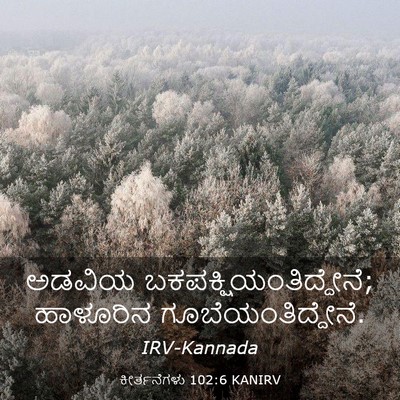 Picture 03 - ಕೀರ್ತನೆಗಳು 102:6 KANIRV - ಅಡವಿಯ - Bible Verse Picture