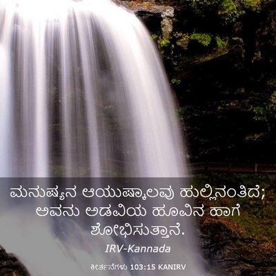 Picture 03 - ಕೀರ್ತನೆಗಳು 103:15 KANIRV - ಮನುಷ್ಯನ - Bible Verse Picture
