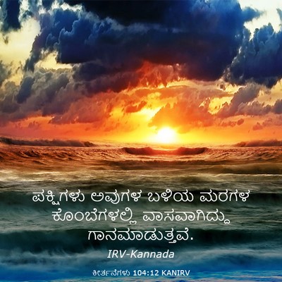Picture 03 - ಕೀರ್ತನೆಗಳು 104:12 KANIRV - ಪಕ್ಷಿಗಳು ಅವುಗಳ - Bible Verse Picture