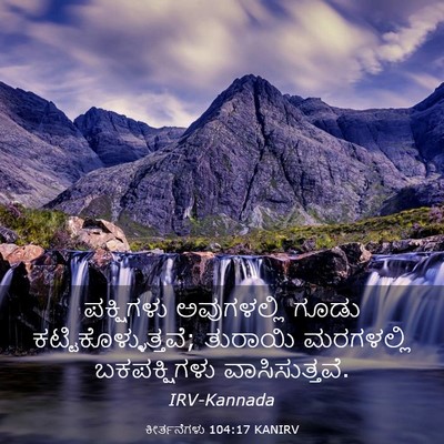 Picture 03 - ಕೀರ್ತನೆಗಳು 104:17 KANIRV - ಪಕ್ಷಿಗಳು - Bible Verse Picture