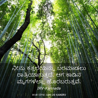 Picture 03 - ಕೀರ್ತನೆಗಳು 104:20 KANIRV - ನೀನು ಕತ್ತಲೆಯನ್ನು - Bible Verse Picture