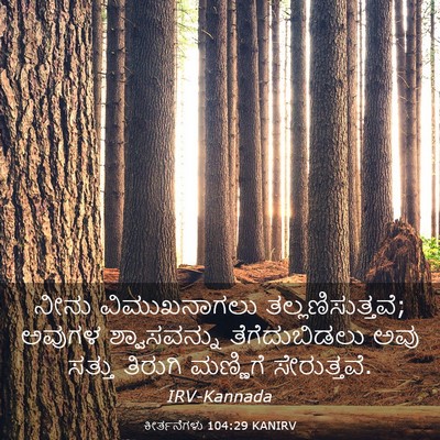 Picture 03 - ಕೀರ್ತನೆಗಳು 104:29 KANIRV - ನೀನು ವಿಮುಖನಾಗಲು - Bible Verse Picture