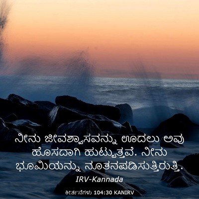 Picture 03 - ಕೀರ್ತನೆಗಳು 104:30 KANIRV - ನೀನು - Bible Verse Picture