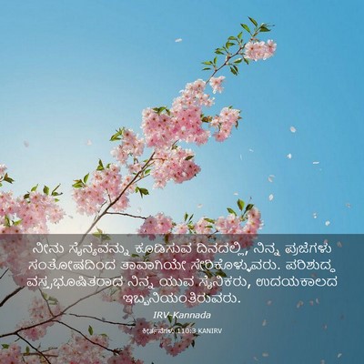 Picture 03 - ಕೀರ್ತನೆಗಳು 110:3 KANIRV - ನೀನು ಸೈನ್ಯವನ್ನು - Bible Verse Picture