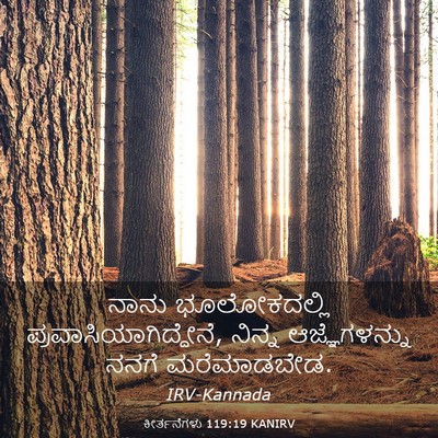 Picture 03 - ಕೀರ್ತನೆಗಳು 119:19 KANIRV - ನಾನು ಭೂಲೋಕದಲ್ಲಿ - Bible Verse Picture