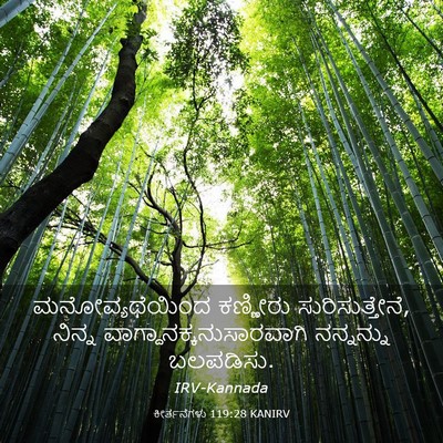 Picture 03 - ಕೀರ್ತನೆಗಳು 119:28 KANIRV - ಮನೋವ್ಯಥೆಯಿಂದ - Bible Verse Picture
