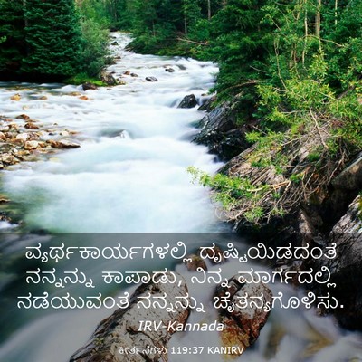 Picture 03 - ಕೀರ್ತನೆಗಳು 119:37 KANIRV -  - Bible Verse Picture