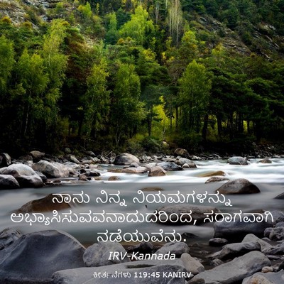 Picture 03 - ಕೀರ್ತನೆಗಳು 119:45 KANIRV - ನಾನು ನಿನ್ನ - Bible Verse Picture