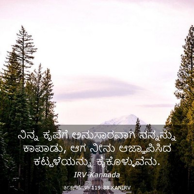 Picture 03 - ಕೀರ್ತನೆಗಳು 119:88 KANIRV - ನಿನ್ನ ಕೃಪೆಗೆ - Bible Verse Picture