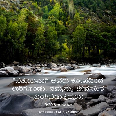 Picture 03 - ಕೀರ್ತನೆಗಳು 124:3 KANIRV - “ನಿಶ್ಚಯವಾಗಿ ಅವರು - Bible Verse Picture