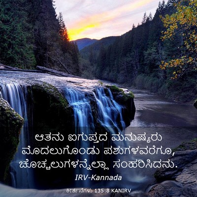 Picture 03 - ಕೀರ್ತನೆಗಳು 135:8 KANIRV - ಆತನು ಐಗುಪ್ತದ - Bible Verse Picture