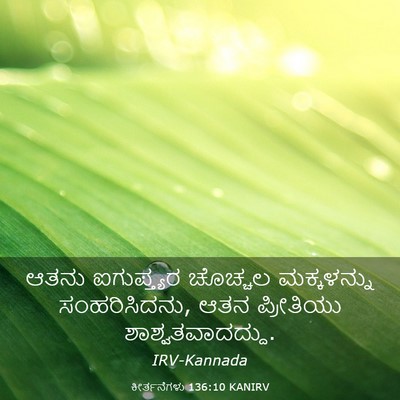 Picture 03 - ಕೀರ್ತನೆಗಳು 136:10 KANIRV - ಆತನು ಐಗುಪ್ತ್ಯರ - Bible Verse Picture