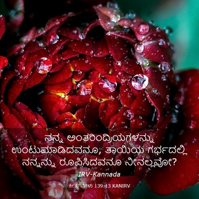 Picture 03 - ಕೀರ್ತನೆಗಳು 139:13 KANIRV - ನನ್ನ - Bible Verse Picture