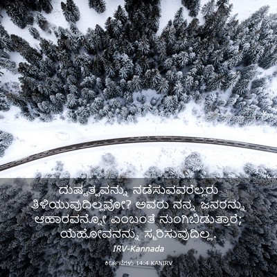 Picture 03 - ಕೀರ್ತನೆಗಳು 14:4 KANIRV - ದುಷ್ಟತ್ವವನ್ನು - Bible Verse Picture