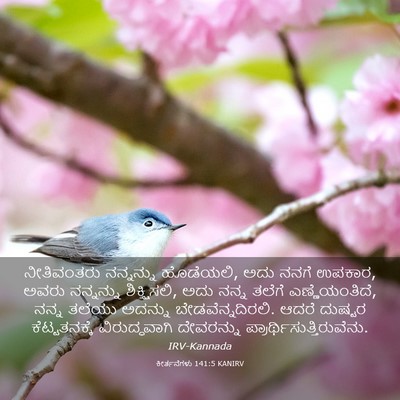 Picture 03 - ಕೀರ್ತನೆಗಳು 141:5 KANIRV - ನೀತಿವಂತರು - Bible Verse Picture