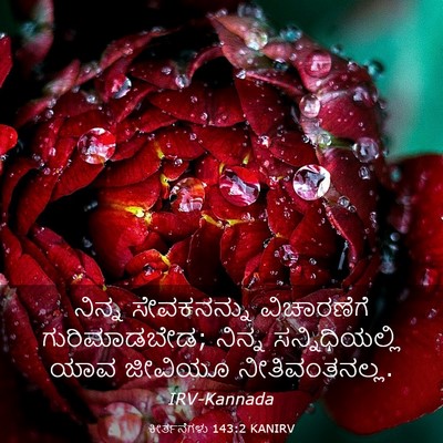 Picture 03 - ಕೀರ್ತನೆಗಳು 143:2 KANIRV - ನಿನ್ನ ಸೇವಕನನ್ನು - Bible Verse Picture