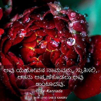 Picture 03 - ಕೀರ್ತನೆಗಳು 148:5 KANIRV - ಅವು ಯೆಹೋವನ - Bible Verse Picture