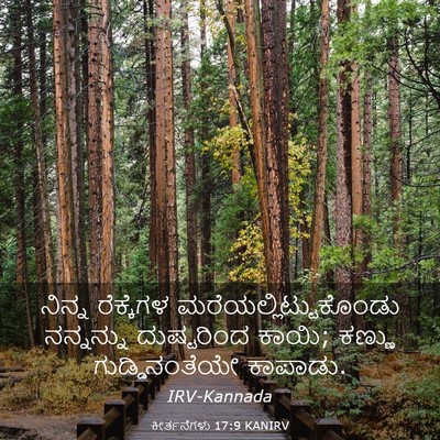 Picture 03 - ಕೀರ್ತನೆಗಳು 17:9 KANIRV - ನಿನ್ನ ರೆಕ್ಕೆಗಳ - Bible Verse Picture