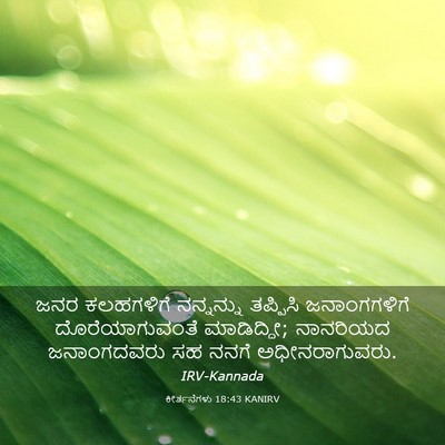 Picture 03 - ಕೀರ್ತನೆಗಳು 18:43 KANIRV - ಜನರ ಕಲಹಗಳಿಗೆ - Bible Verse Picture