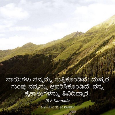 Picture 03 - ಕೀರ್ತನೆಗಳು 22:16 KANIRV - ನಾಯಿಗಳು ನನ್ನನ್ನು - Bible Verse Picture