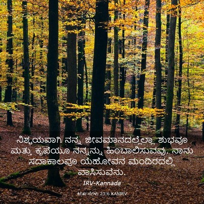 Picture 03 - ಕೀರ್ತನೆಗಳು 23:6 KANIRV - ನಿಶ್ಚಯವಾಗಿ ನನ್ನ - Bible Verse Picture