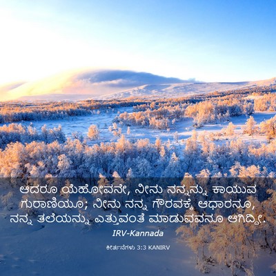 Picture 03 - ಕೀರ್ತನೆಗಳು 3:3 KANIRV - ಆದರೂ ಯೆಹೋವನೇ, ನೀನು - Bible Verse Picture