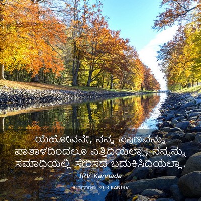 Picture 03 - ಕೀರ್ತನೆಗಳು 30:3 KANIRV - ಯೆಹೋವನೇ, ನನ್ನ - Bible Verse Picture