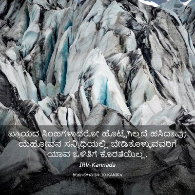 Picture 03 - ಕೀರ್ತನೆಗಳು 34:10 KANIRV - ಪ್ರಾಯದ ಸಿಂಹಗಳಾದರೋ - Bible Verse Picture