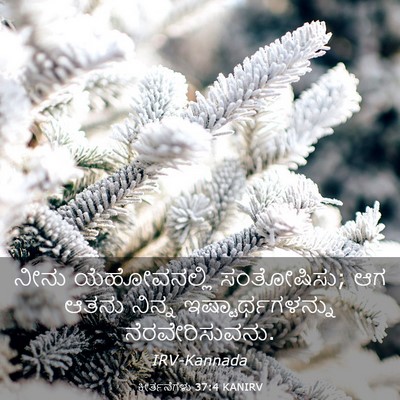 Picture 03 - ಕೀರ್ತನೆಗಳು 37:4 KANIRV - ನೀನು ಯೆಹೋವನಲ್ಲಿ - Bible Verse Picture