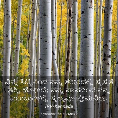 Picture 03 - ಕೀರ್ತನೆಗಳು 38:3 KANIRV - ನಿನ್ನ ಸಿಟ್ಟಿನಿಂದ - Bible Verse Picture