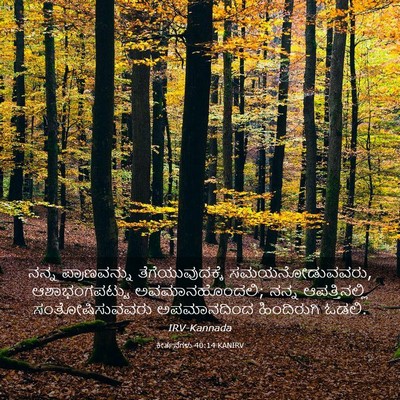 Picture 03 - ಕೀರ್ತನೆಗಳು 40:14 KANIRV - ನನ್ನ ಪ್ರಾಣವನ್ನು - Bible Verse Picture