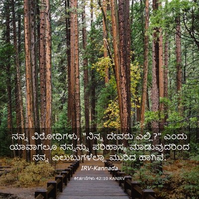Picture 03 - ಕೀರ್ತನೆಗಳು 42:10 KANIRV - ನನ್ನ ವಿರೋಧಿಗಳು, - Bible Verse Picture