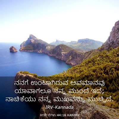 Picture 03 - ಕೀರ್ತನೆಗಳು 44:16 KANIRV - ನನಗೆ ಉಂಟಾಗಿರುವ - Bible Verse Picture