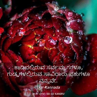 Picture 03 - ಕೀರ್ತನೆಗಳು 50:10 KANIRV - ಕಾಡಿನಲ್ಲಿರುವ - Bible Verse Picture