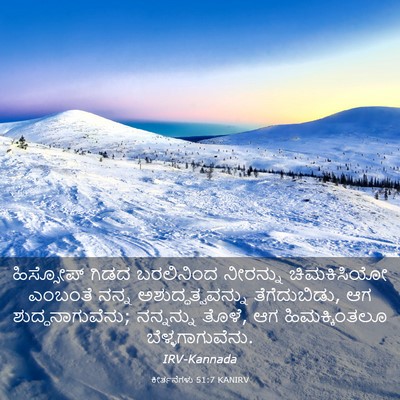 Picture 03 - ಕೀರ್ತನೆಗಳು 51:7 KANIRV - ಹಿಸ್ಸೋಪ್ ಗಿಡದ - Bible Verse Picture