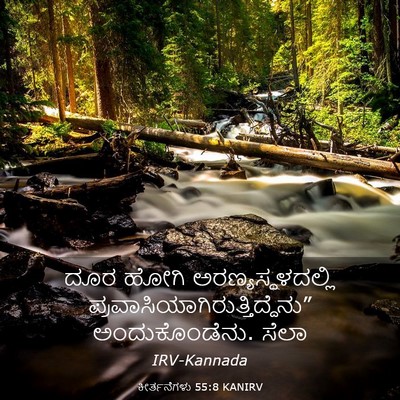 Picture 03 - ಕೀರ್ತನೆಗಳು 55:8 KANIRV - ದೂರ ಹೋಗಿ - Bible Verse Picture