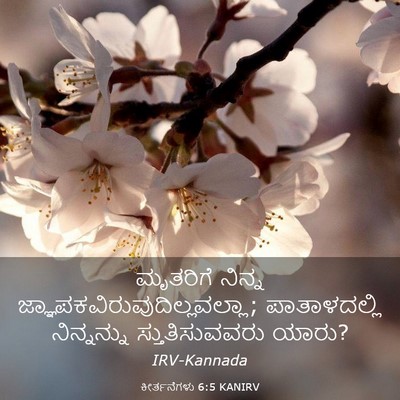 Picture 03 - ಕೀರ್ತನೆಗಳು 6:5 KANIRV - ಮೃತರಿಗೆ ನಿನ್ನ - Bible Verse Picture