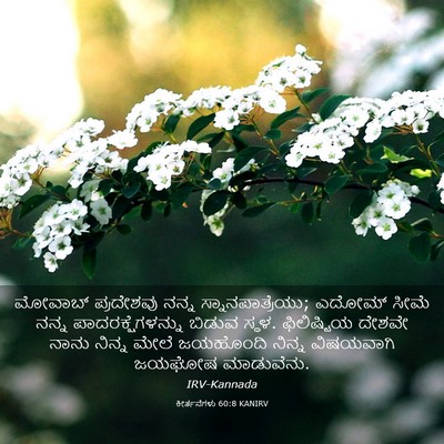 Picture 03 - ಕೀರ್ತನೆಗಳು 60:8 KANIRV - ಮೋವಾಬ್ ಪ್ರದೇಶವು - Bible Verse Picture