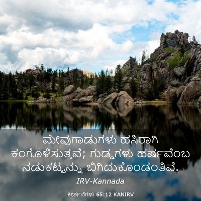 Picture 03 - ಕೀರ್ತನೆಗಳು 65:12 KANIRV - ಮೇವುಗಾಡುಗಳು - Bible Verse Picture