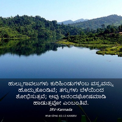 Picture 03 - ಕೀರ್ತನೆಗಳು 65:13 KANIRV - ಹುಲ್ಲುಗಾವಲುಗಳು - Bible Verse Picture