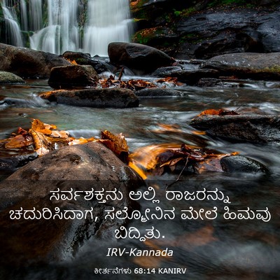 Picture 03 - ಕೀರ್ತನೆಗಳು 68:14 KANIRV - ಸರ್ವಶಕ್ತನು ಅಲ್ಲಿ - Bible Verse Picture