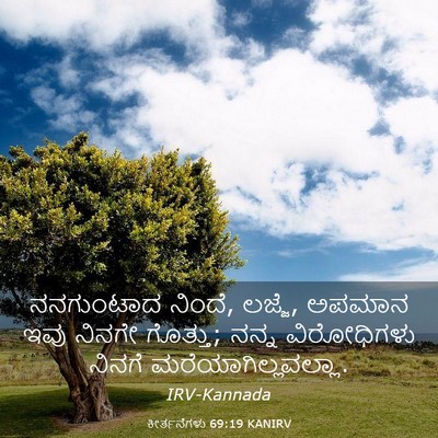 Picture 03 - ಕೀರ್ತನೆಗಳು 69:19 KANIRV - ನನಗುಂಟಾದ ನಿಂದೆ, - Bible Verse Picture