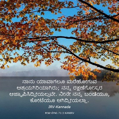 Picture 03 - ಕೀರ್ತನೆಗಳು 71:3 KANIRV - ನಾನು ಯಾವಾಗಲೂ - Bible Verse Picture