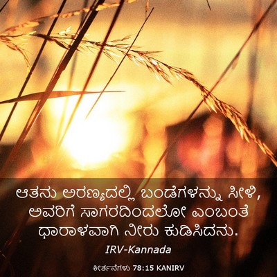 Picture 03 - ಕೀರ್ತನೆಗಳು 78:15 KANIRV - ಆತನು ಅರಣ್ಯದಲ್ಲಿ - Bible Verse Picture