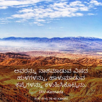 Picture 03 - ಕೀರ್ತನೆಗಳು 78:45 KANIRV - ಅವರನ್ನು ನಾಶಮಾಡುವ - Bible Verse Picture